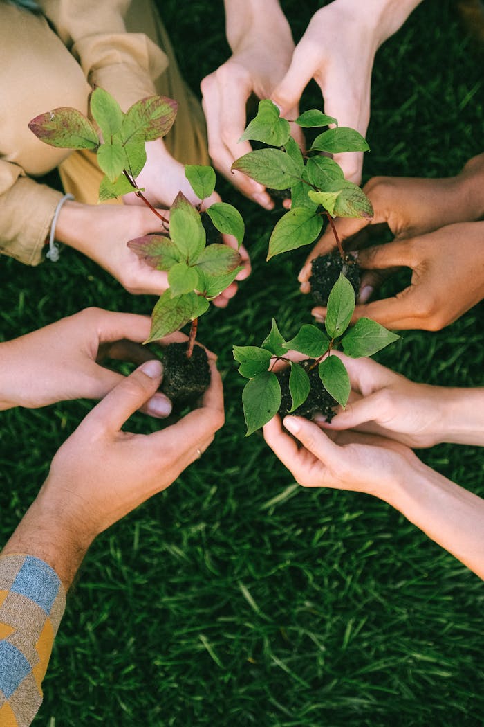 team-02 Group of diverse people planting tree saplings together, symbolizing sustainability and teamwork.
