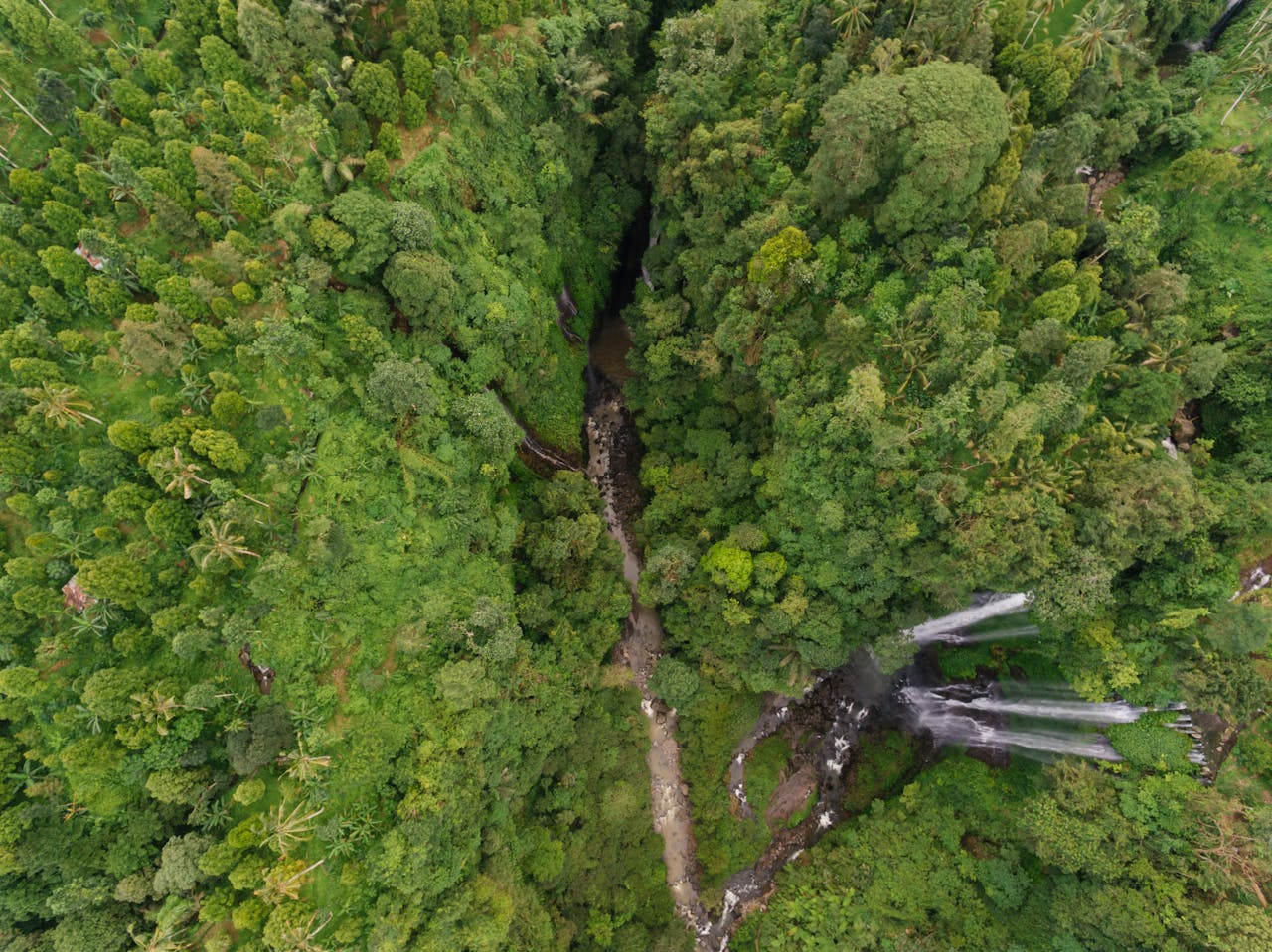 team-04 Drone shot capturing a dense green forest with a hidden waterfall, providing a breathtaking natural vista.